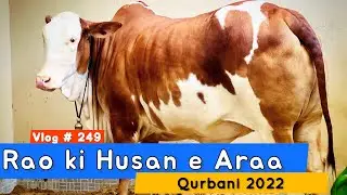 Rao ki Husan e Araa | Deep Msg 😓| Story 💔