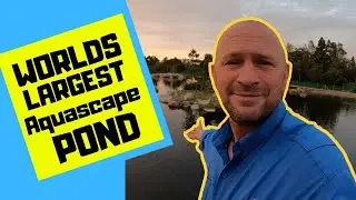 World&rsquo;s Largest Aquascape Ecosystem Pond Tour