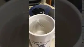 Paperclip Floating on Water