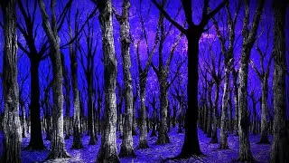 The Most Haunted Forest in America | Freetown State Forest