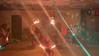Fire Palm Torch Performance
