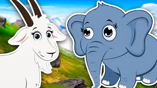 Animal Adventure! | Rainforest, Mountain, Caribbean Animal Sound Songs | Kids Learning Videos