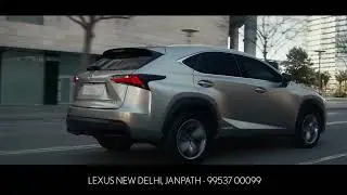 NX video