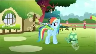 Fluttershy and Rainbow Dash - May The Best Pet Win