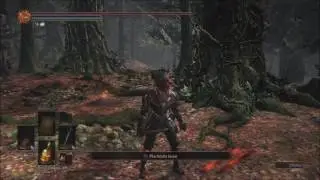 Dark Souls 3 Best Parry ever?