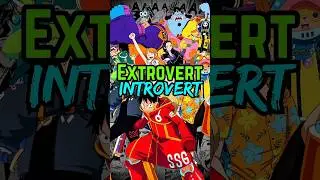Which Straw Hat Pirates Are Introverts and Extroverts? | One Piece