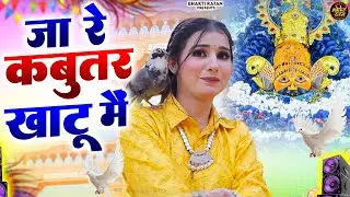 जा रे कबूतर खाटू में  🎊Shyam ji Bhajan 2026  #song Shyam #trending #viralvideo