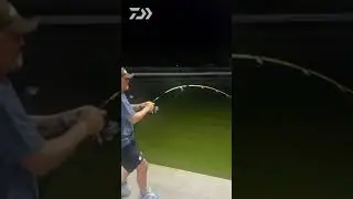PHANTOM COMPETITION || DAIWA
