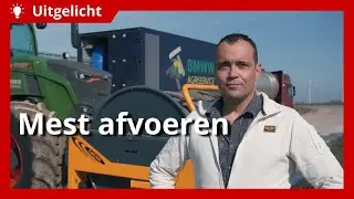 Uitgelicht | Mest afvoeren: welke opties heb je en welke afspraken moet je maken?