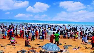 🌊 ঢেউয়ের সঙ্গে নাচছে নিউ দীঘা! স্নানে মগ্ন অসংখ্য পর্যটক 🔴 লাইভ