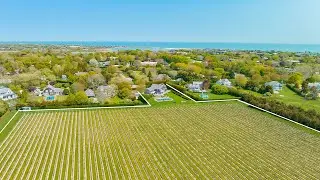 Own a Private Vineyard in Bridgehampton