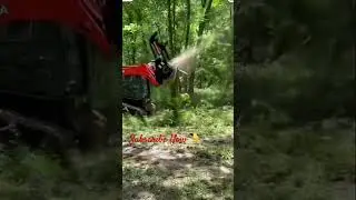 Plant cutting machine 😘#automobile #india #plantcuttings #viral