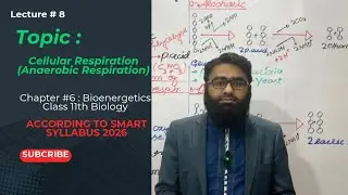 Cellular Respiration | Anaerobic Respiration | Class 11th Biology PTB New syllabus 2025