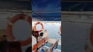Попов, где ты?! #где #missing#sea#dolcevita #море#viral #ocean #дружба#friendship#alicante #scandal