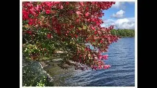 Sag Lake Pictures
