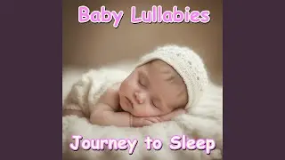 The Magical Tale Of Sleep