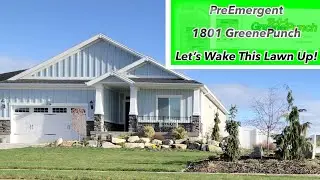 First Fertilizer Application | 1801 Greene Punch | Pre Emergent Prodiamine