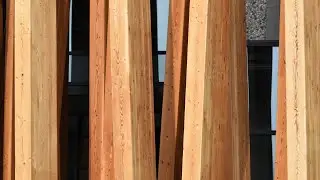 Art Preserve