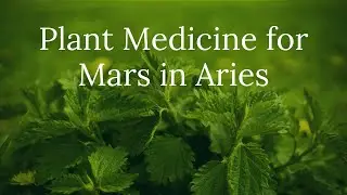 Plant Medicine for Mars in Aries