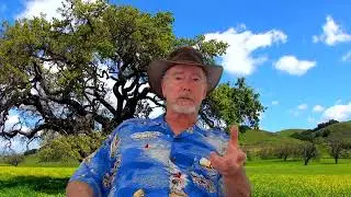 Further Educational Adventures of a Sex-Positive Humanist Psychologist
