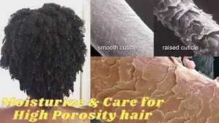 HOW TO EFFECTIVELY MOISTURIZE HIGH POROSITY HAIR, DETAILED!