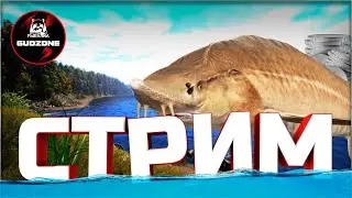 РР4 СТРИМ  •⭐ТРОЛЛИНГ НА АРХИПЕЛАГЕ и ВЫСЕД СИНЕГО ВОСТОЧНОСИБИРСКОГО ОСЕТРА⭐#рр4 #рр4стрим