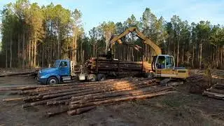 Dirty South logging-When Boss man and loader man collide