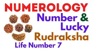 Number & Lucky Rudraksha - Life Number 7 (Hindi)