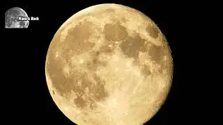 Beautiful Pink Supermoon 2020