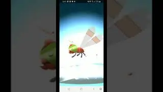 Pokemon Go : Yanma Evolution