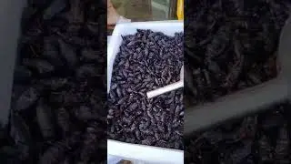 Countryside food but delicious #you like to eat this #Countrysidefood #food #eating #cooking EP1
