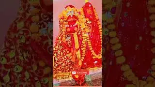 jai maa chamunda #matarani #bhajan #viral #sports #gogunda #dadiya #livetipsandtricks #help #blogger
