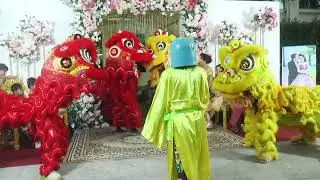 Lion Dance Welcome Guests at Wedding party
