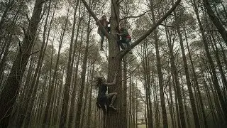 Diving Team Hired to Recover Gold from River Bottom, But Encounters True Terror !!