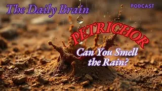 The Daily Brain PETRICHOR   Can You Smell the Rain