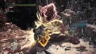 MHW Iceborne Solo hammer Furious rajang 9'19 | Every monster under 10 minutes part 57