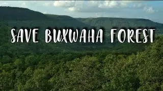 Save Buxwaha Forest || Buxwaha forest full story explained in hindi || Curious Nerds ||