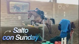 Lezioni di salto ostacoli con Sunday | EQUESTRIAN KATY |