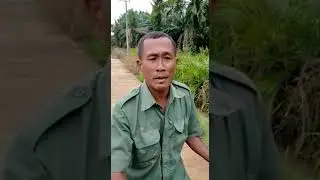 Komering asli suku sumatera selatan