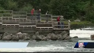 'Healing those who served': Program helps disabled veterans find strength through fishing