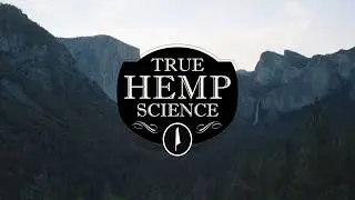 True Hemp Science - Take in the Moment -Yosemite