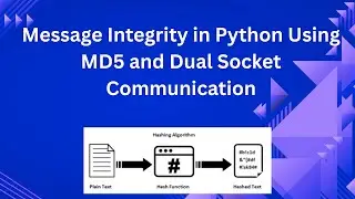 Python Socket Programming | Send Message and MD5 Hash via Two Sockets