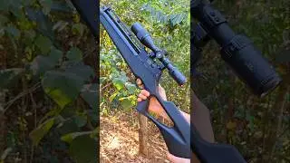 Carabina Rossi R8 6.35 #shorts #airguns #tiroesportivo #carabina #luneta #slug