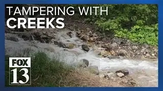 Trail cams find Millcreek flooding caused by hikers creating barriers