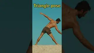 TOP 3 🏆 Beginner Essential Yoga Poses