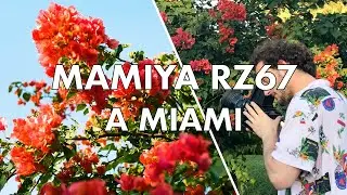 Mamiya RZ67 a Miami con lozioin35mm