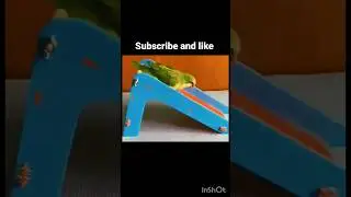 super parrot cycle race #shortvideo