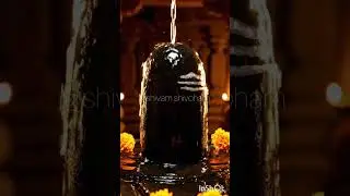 Om Namah Shivay 108 Times | Powerful Shiva Mantra for Peace & Positivity 🕉️Chanting 🔱 DAY 5 #shiv 