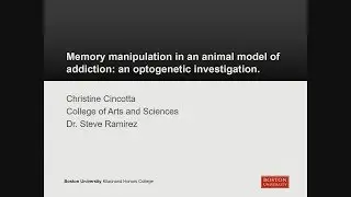 Christine Cincotta: Memory Manipulation in an Animal Model of Addiction