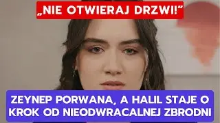 WICHROWE WZGÓRZE, ODCINEK 340-341: ZEYNEP PORWANA, A HALIL STAJE O KROK OD NIEODWRACALNEJ ZBRODNI